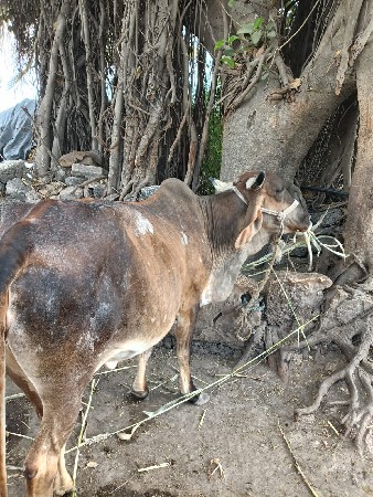 थंबनेल 3