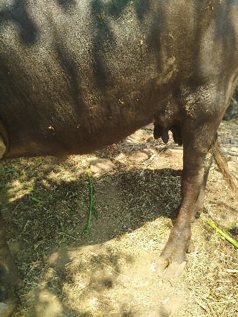 थंबनेल 3