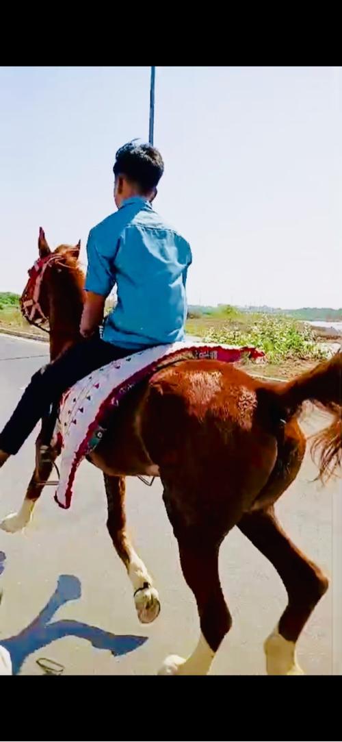 થંબનેલ 3