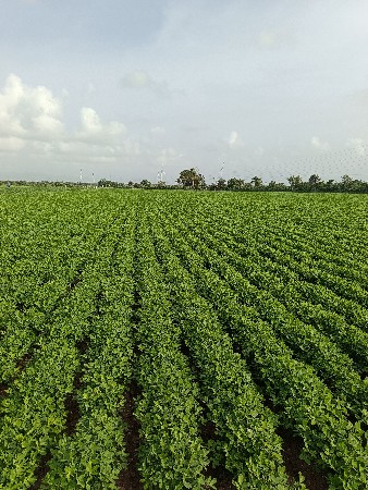 થંબનેલ 3