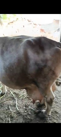 थंबनेल 2