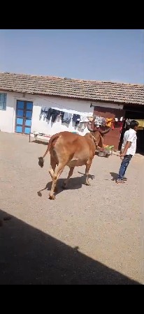 થંબનેલ 3