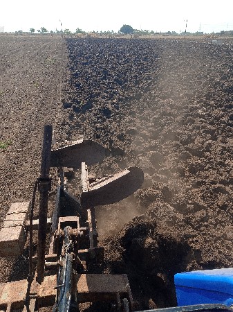 ખેપાવેચવાનાશે