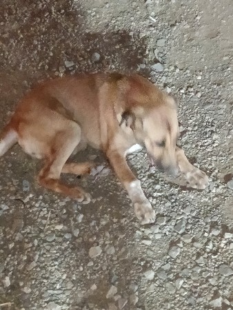 થંબનેલ 3