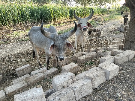 थंबनेल 2