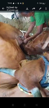 थंबनेल 5