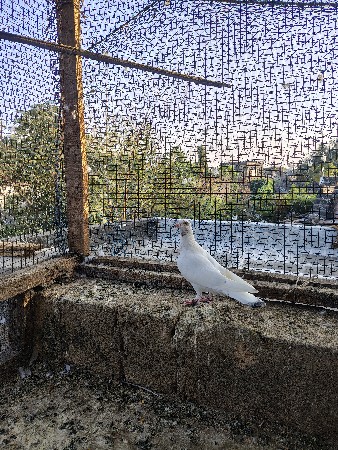 थंबनेल 2