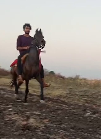 થંબનેલ 2