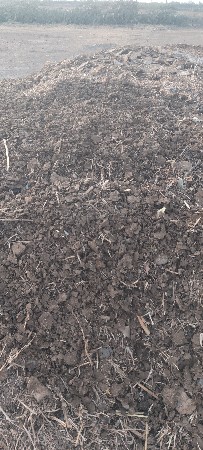 gheta bakra nu khatar