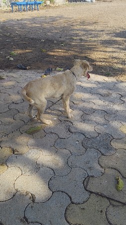 થંબનેલ 2