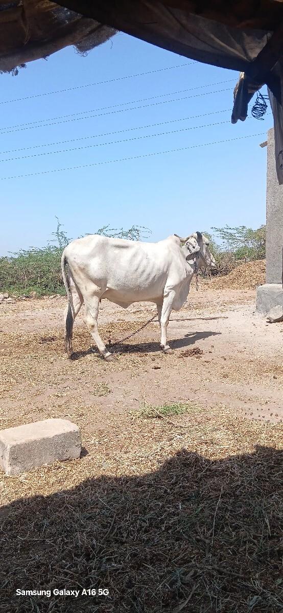 थंबनेल 2