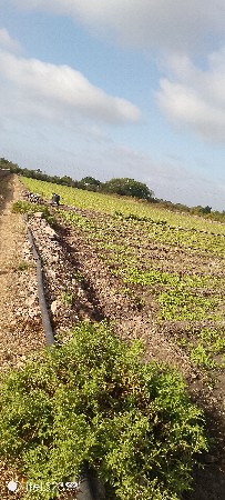 થંબનેલ 3