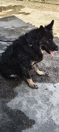 એક વરસડીની ક**** વેચવાની છે ભાઈ