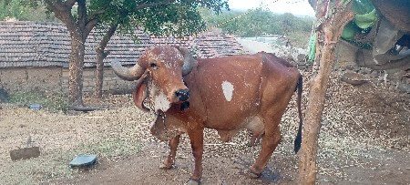 थंबनेल 3