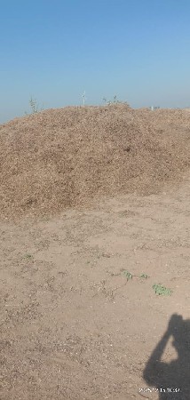 માડવીનો.ભૂકો.વેસવાનોછે