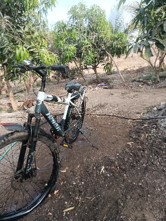 નવા ટાયર