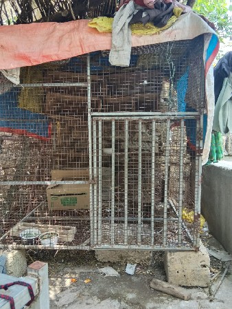 થંબનેલ 3