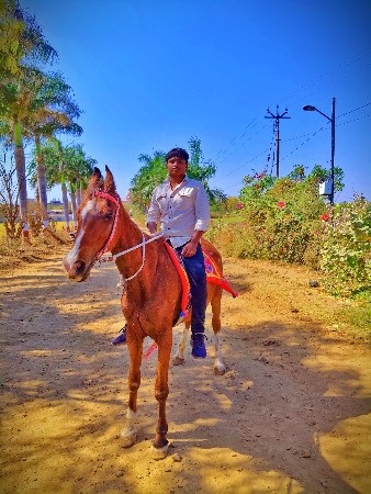 થંબનેલ 2