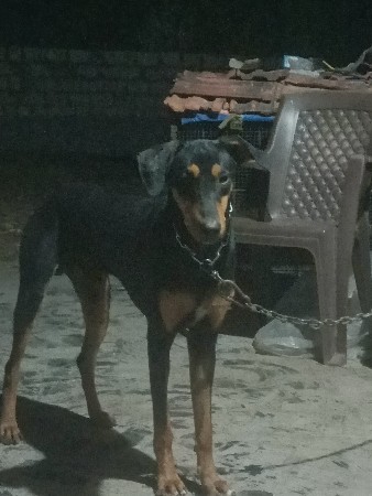 થંબનેલ 3