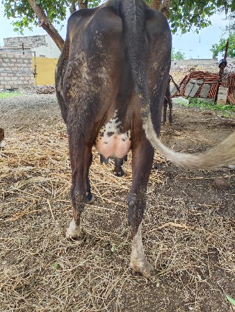 थंबनेल 2