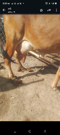 થંબનેલ 2