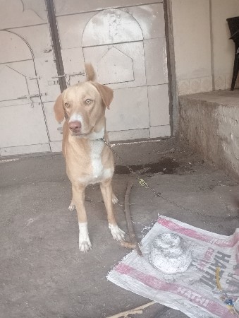 થંબનેલ 2