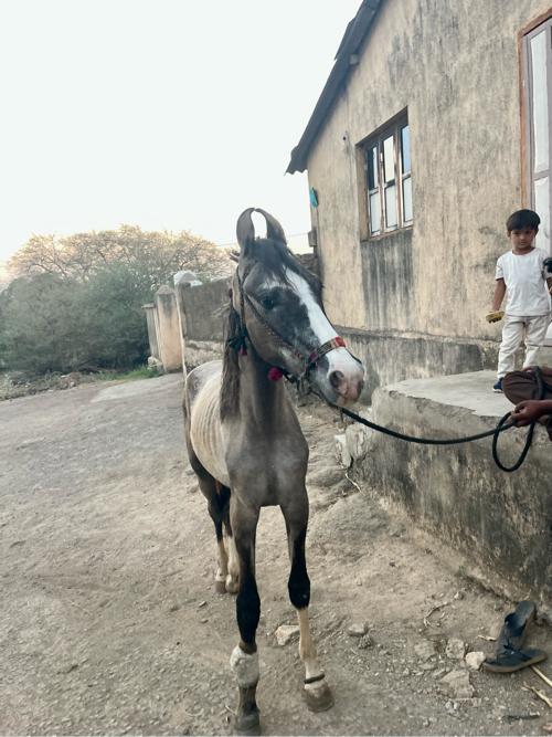 થંબનેલ 3