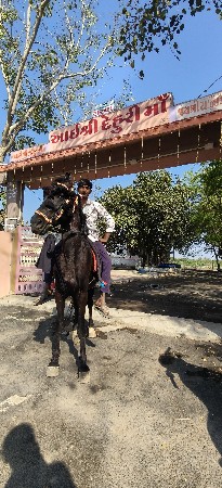 થંબનેલ 2