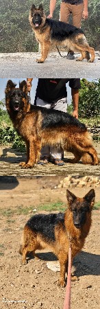 👉_મિટિંગ માટે બધા  મેલ મળશે_👈