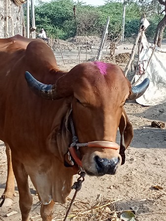 थंबनेल 2