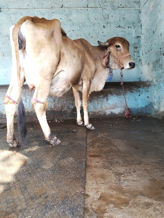 थंबनेल 3