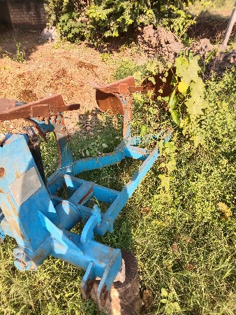 થંબનેલ 2