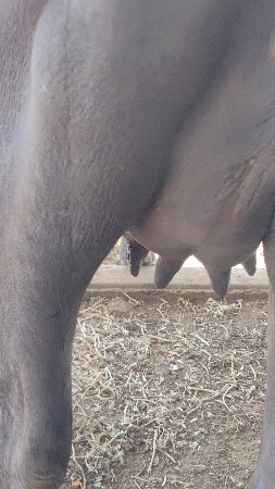 थंबनेल 2