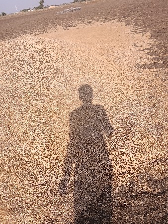 ચણાનું ખારિયું વેચવાનું છે.