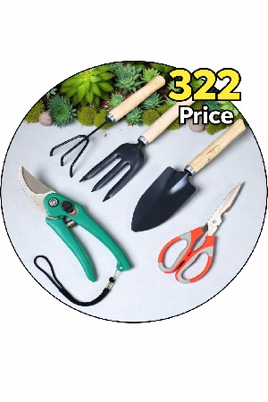 थंबनेल 3