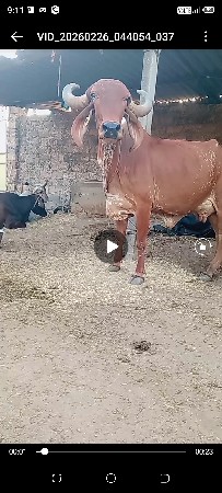 थंबनेल 2