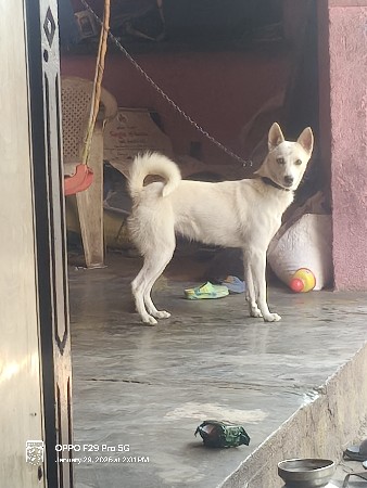 થંબનેલ 2