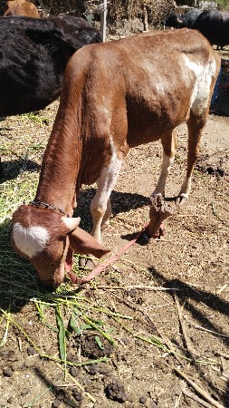 थंबनेल 2