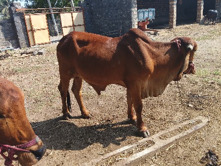 थंबनेल 3