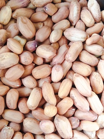 45 નંબર કોરો માંડવો વેચવાનો છે