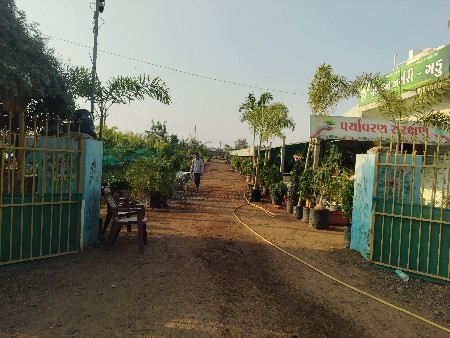 થંબનેલ 2