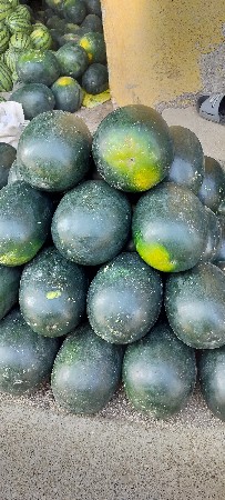 વેચવાના છે