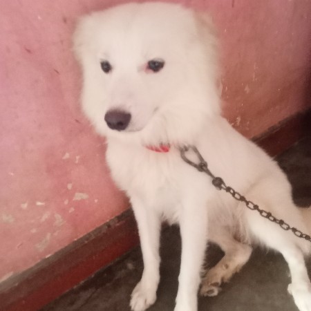 થંબનેલ 3