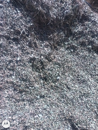 માંડવી નૉ ભુકો વેચવા નો છે