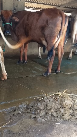 थंबनेल 3