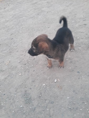 थंबनेल 2