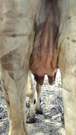 થંબનેલ 2