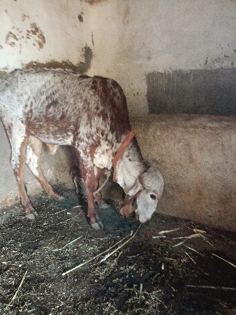 थंबनेल 3