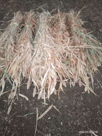 નીરણ વેચવાની છે.