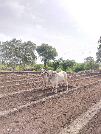 थंबनेल 2